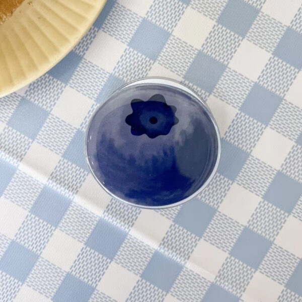 Summer Fruit Shaped  Magnetic Extendable Stand Phone Holder-HW004